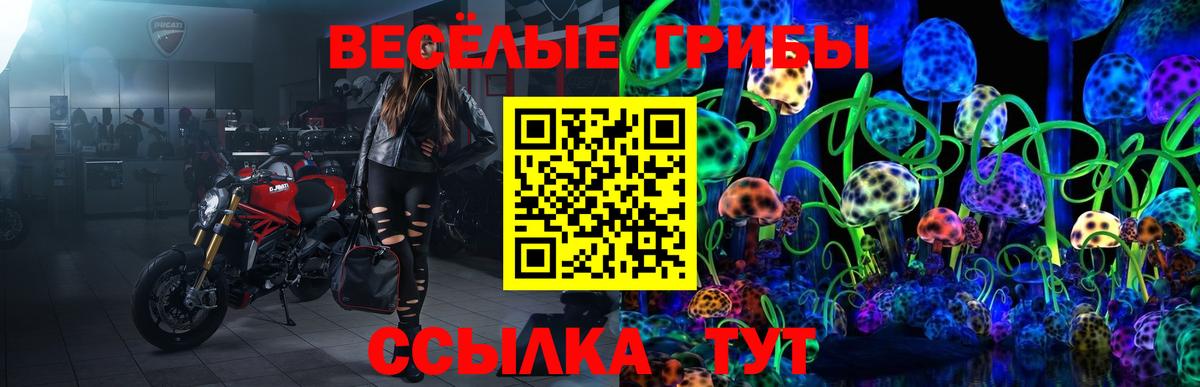 Псилоцибиновые грибы Psilocybe  Вход с VPN  Новороссийск 